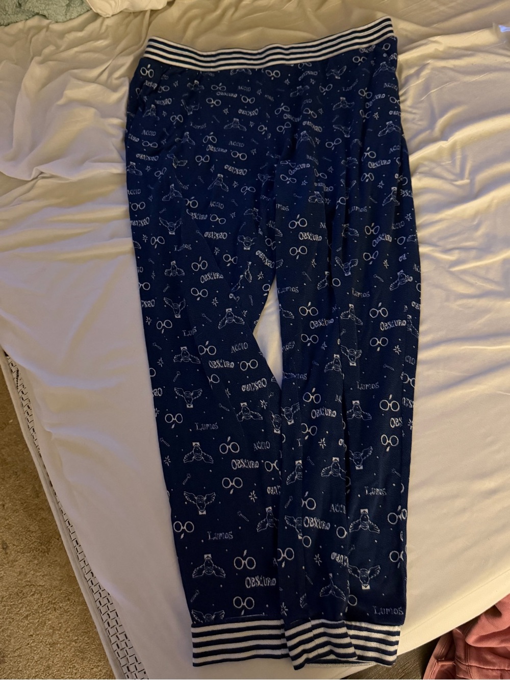 Harry Potter Navy Blue Pajama Pants with Striped Waistband